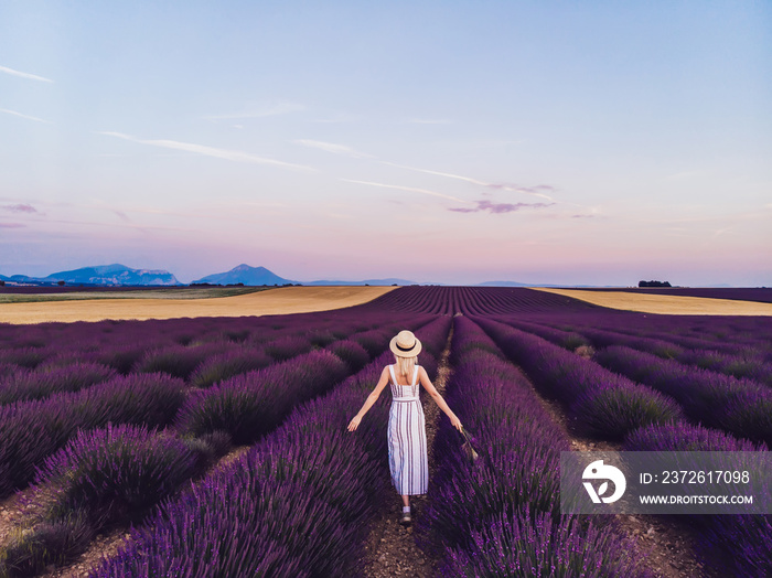 Faceless woman traveler relishing in flowers at lavender fields