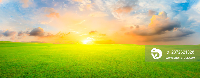 Green grass field and colorful sky clouds at sunset,panoramic view.