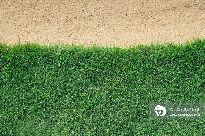 高尔夫球场上带沙坑的绿草背景