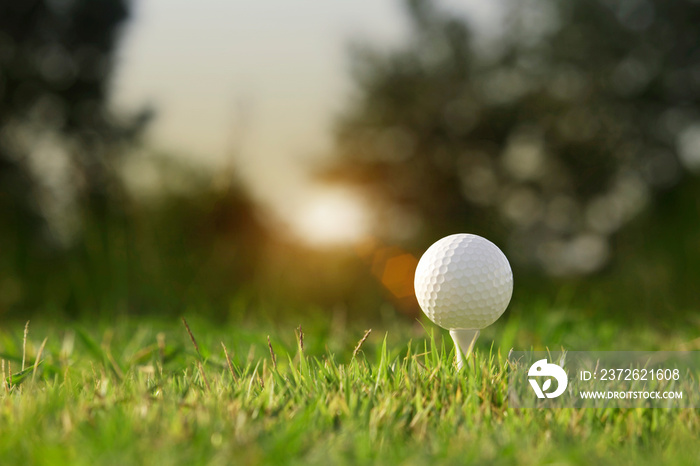 golf ball on tee in a beautiful golf course with morning sunshine