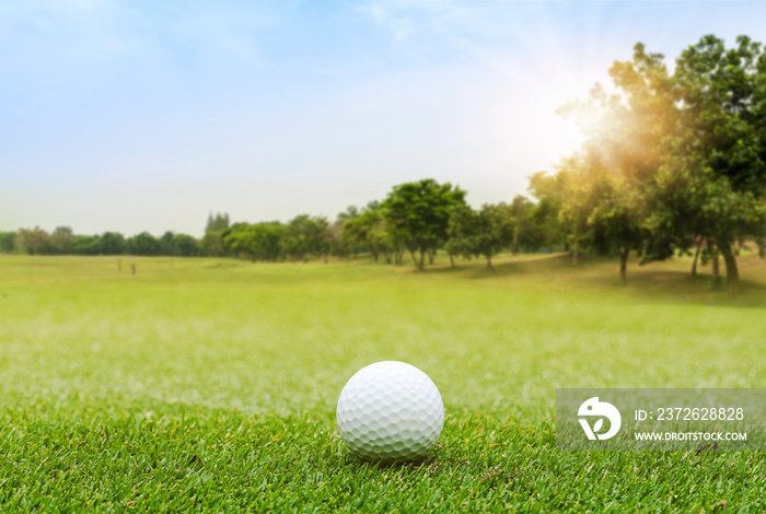 绿色球场上的白色高尔夫球将在明亮的d球场模糊的美丽景观上击球