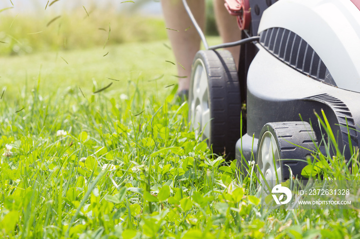 Gras fliegt beim Rasenmähen durch die Luft