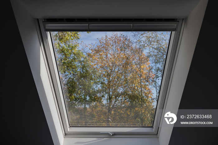 Interior view at closed white Tilt Window Skylights at attic and sunny view through glass with defoc