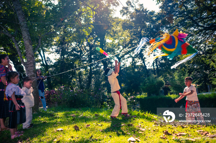 Niño quebrando la piñata en una fiesta de cumpleaños en el  parque.