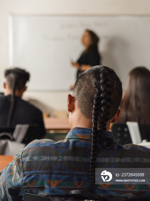Vertical image of the back of Native students learning in class