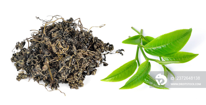 Heap of dry tea with green tea leaves isolated on a white backgr