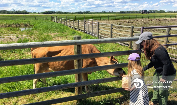 A mother and young daughter feeding farm animals through a fence at a petting zoo outside Spruce Gro