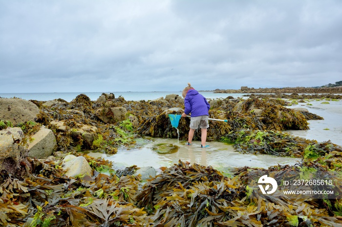 Pêche à pieds dans la mer et les rochers