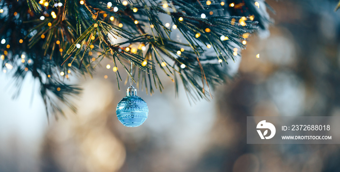 户外云杉树枝上的蓝色圣诞球，新年快乐。