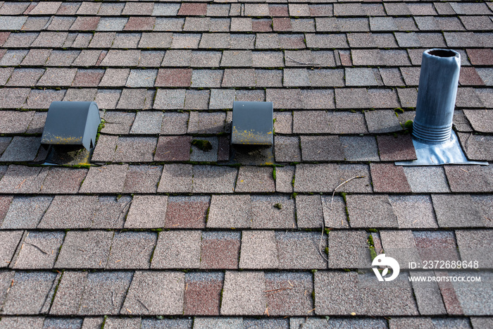 Suburban house rooftop, asphalt shingles, roof vents, sunny day