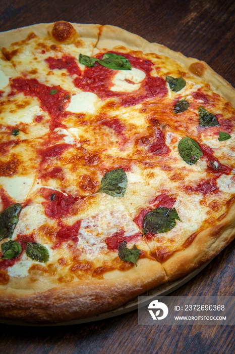 New York Margherita Pizza