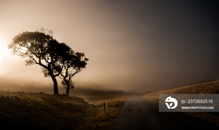 misty morning sunrise