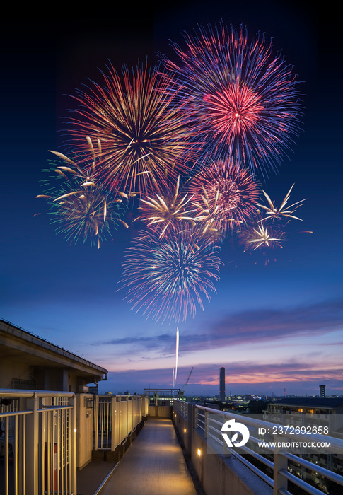 花火　高く輝く花火大会　夜空　花火イメージ　花火大会