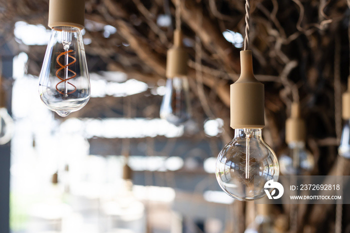 Light bulb decor in outdoor party