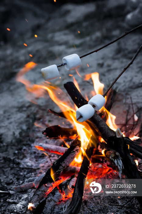 Marshmallows roast on bonfire in the evening