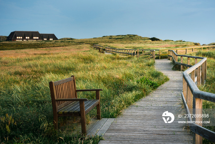 Wooden pathway through high grass on Sylt island in the evening