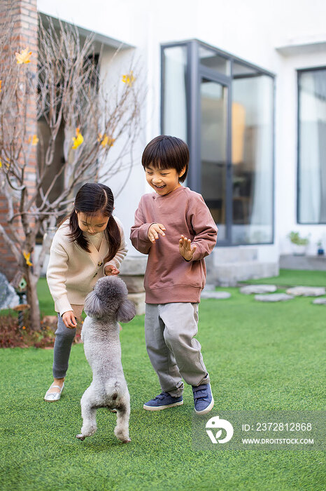 快乐的姐弟俩和宠物狗在庭院里玩耍