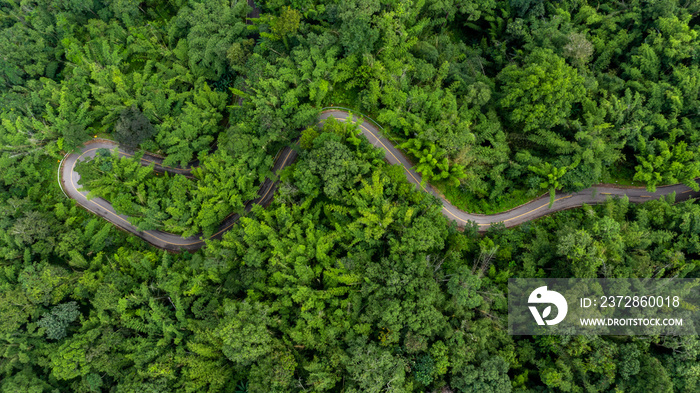 Aerial top view rural road in the forest, dirt road or mud road and rain forest, Aerial view road in