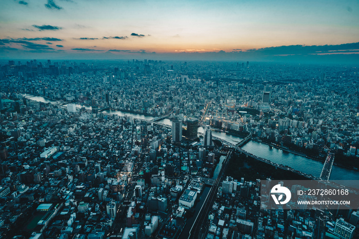 Tokyo city skyline as seen from above at sunset
