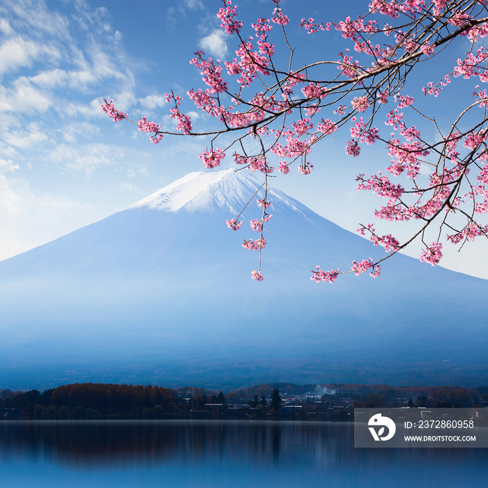 富士山和河湖的樱花