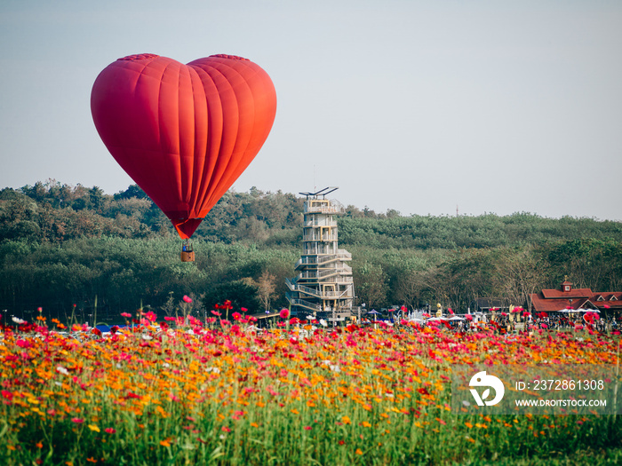 Red hot air balloon in the shape of a heart over cosmos flower field