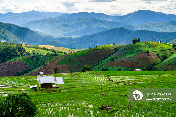 Bali Candidasa Rice Terraces field Indonesia