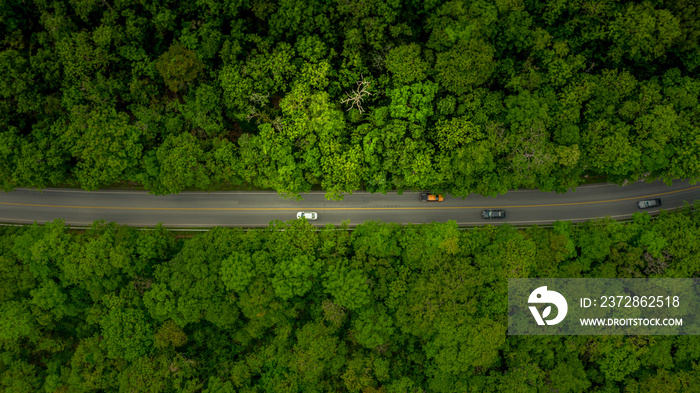 Forest Road, Aerial view over tropical tree forest with a road going through with car.