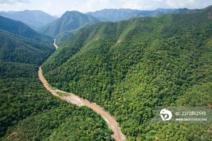 Aerial view of teak forest near Thailand and Myanmar border. 