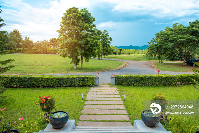 beautiful Natural view in front yard with blue sky