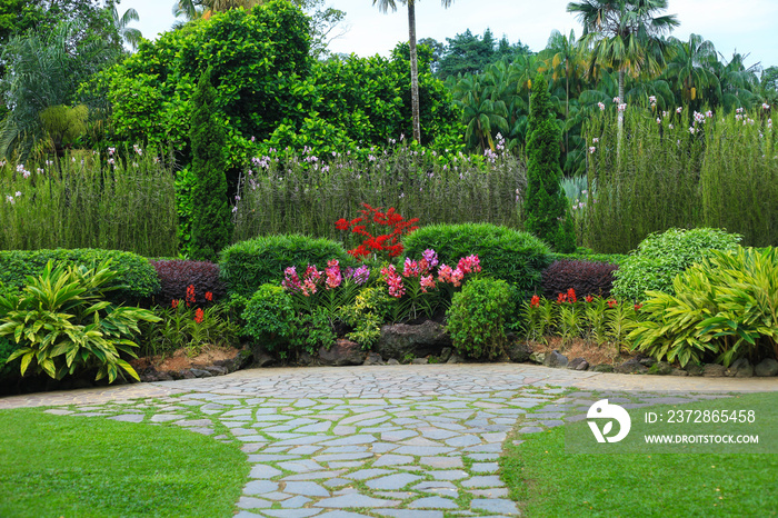 Green nature Singapore Botanic Garden in Singapore