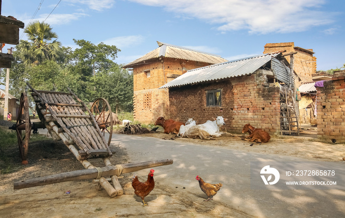 西孟加拉邦博尔普尔的印度村庄，可以看到带砖和泥房子的手推车和奶牛