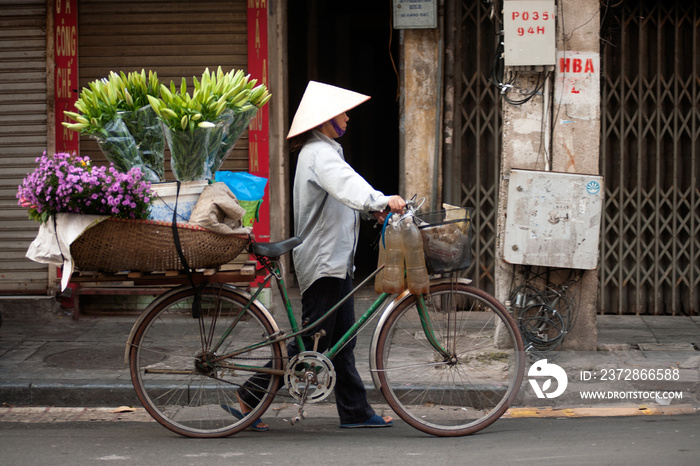 越南河内市的鲜花街头小贩。