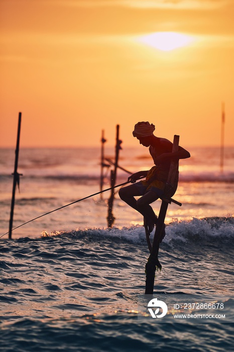 Traditional stilt fishing in Sri Lanka