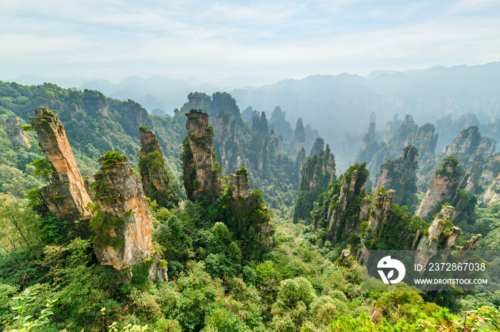 石英砂岩柱的壮丽景色（阿凡达山脉）