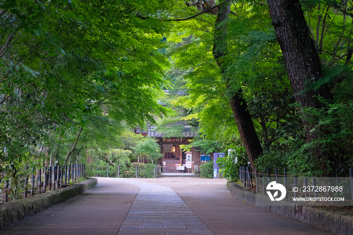 京都 宇治上神社