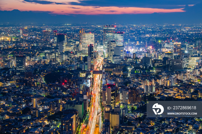 东京天际线的城市景观，东京办公楼和市中心的摩天大楼全景