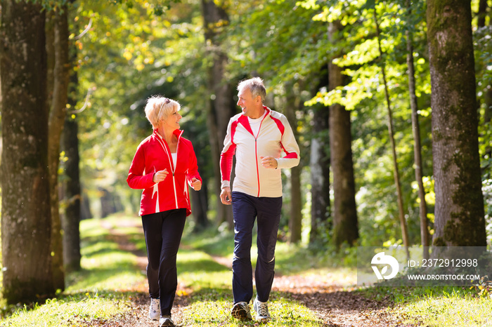 Seniors jogging on a forest road