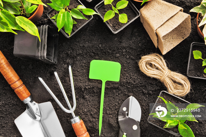园艺工具和植物