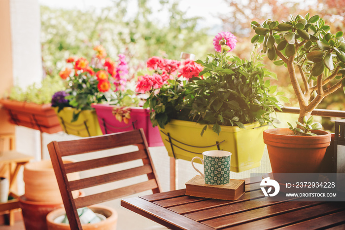 舒适的夏日阳台，有许多盆栽植物，一杯茶和旧书