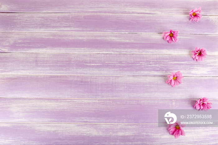 紫色的木头背景上有美丽的菊花