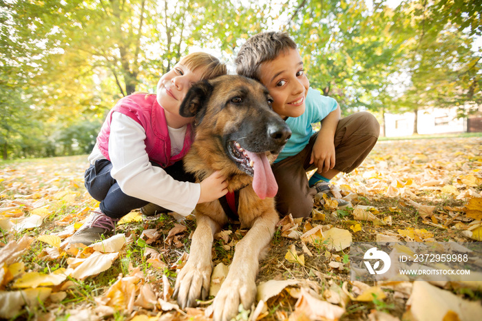 孩子们在公园和德国牧羊犬