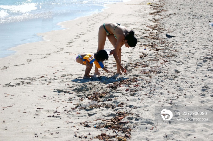 looking for sea shells