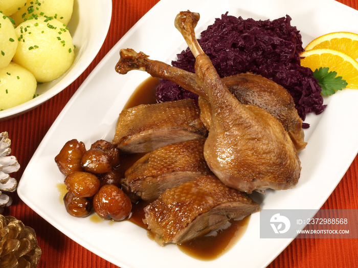 Gans mit Rotkohl