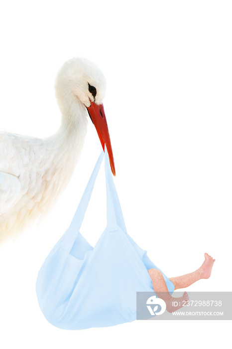 Storch mit Baby im blauen Beutel