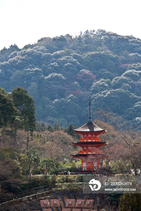 日本清水寺