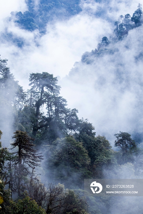 中国西南部山区风光