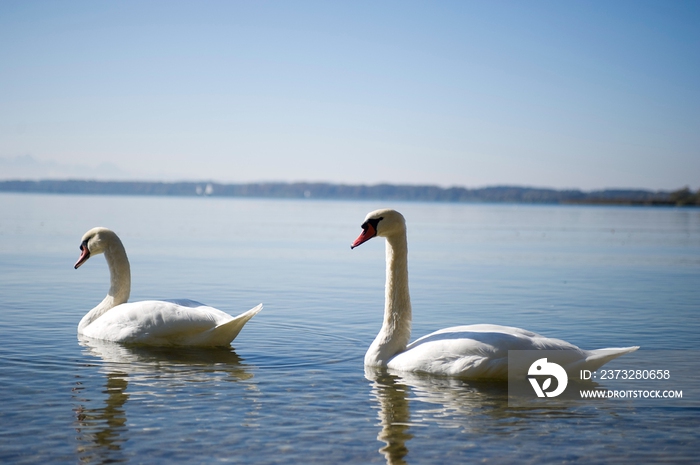 德国慕尼黑周边基姆湖(Chiemsee)