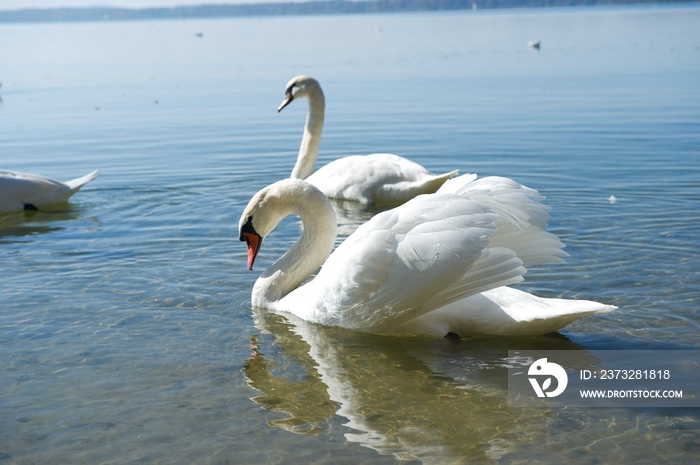 德国慕尼黑周边基姆湖(Chiemsee)