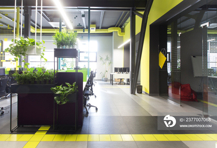 Co-working office in loft style with green live plants