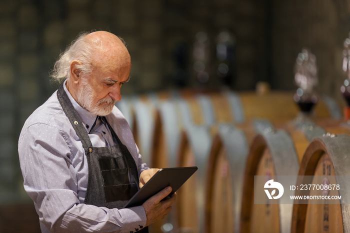 Caucasian experienced winemaker checking a wine aging in barrels data, using a touchpad tablet. Traditional and modern technology concept.